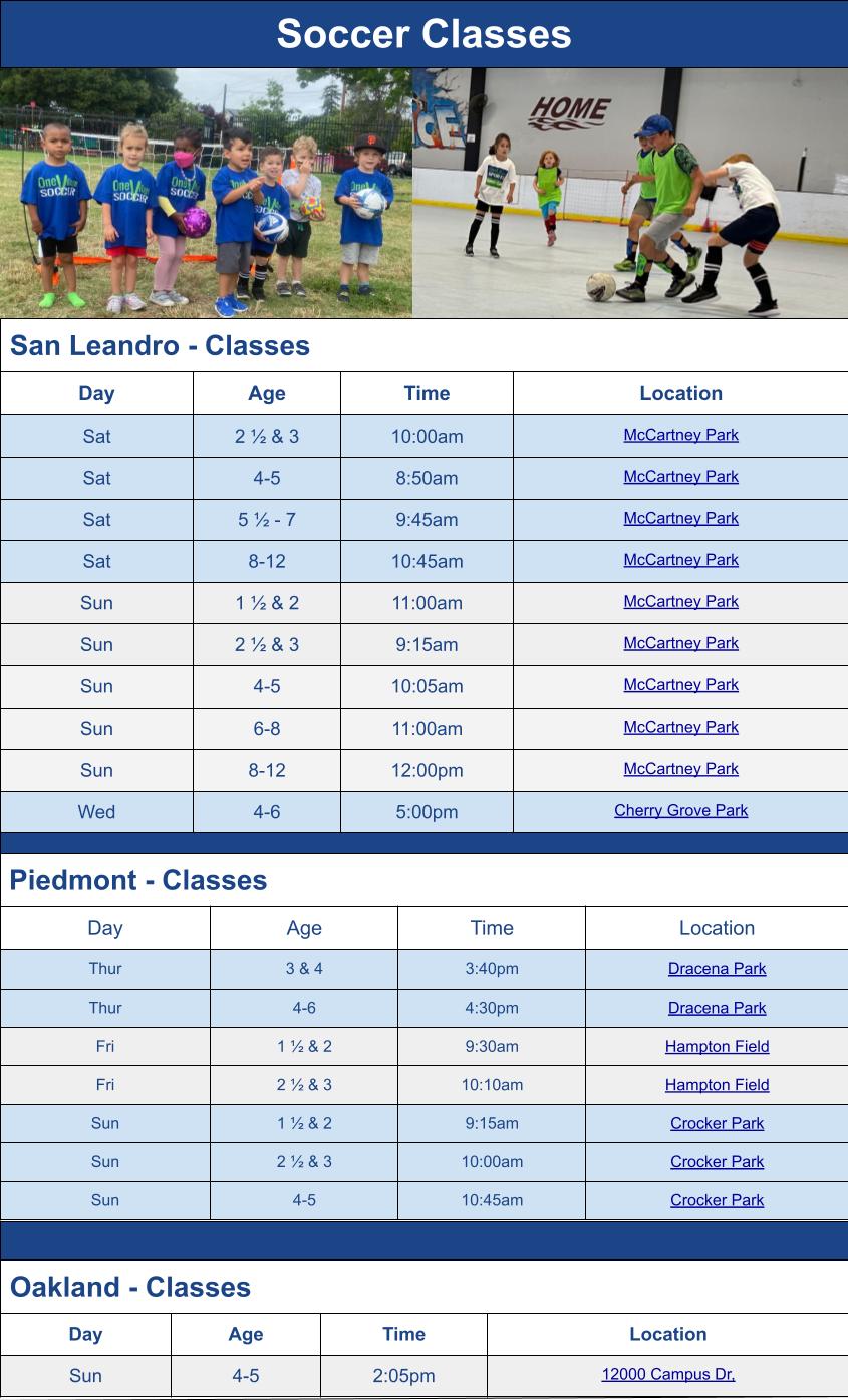 Soccer Class Season Schedule Options Graphic for Mail Chimp Email Grid